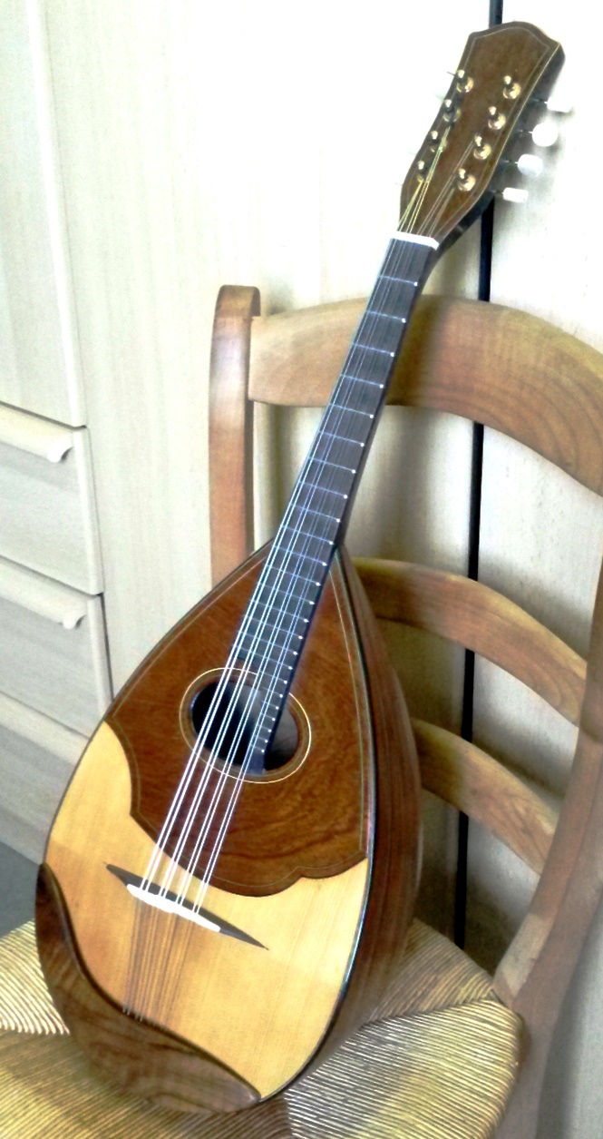 guitare, mandoline, mandole, instruments du monde du luthier Philippe